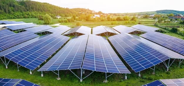 Terms and Conditions